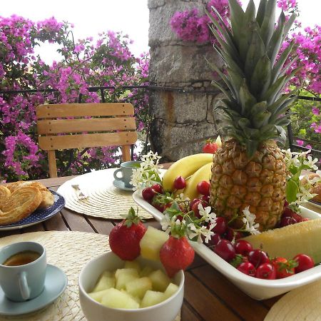 Villa Carlotta La Maddalena ลามัดดาเลนา ภายนอก รูปภาพ