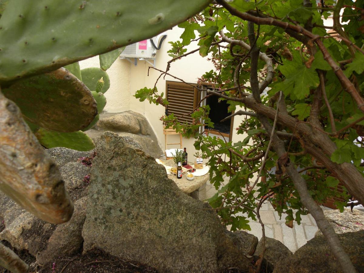 Villa Carlotta La Maddalena ลามัดดาเลนา ภายนอก รูปภาพ