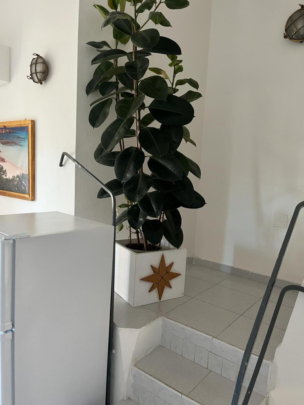 Villa Carlotta La Maddalena ลามัดดาเลนา ภายนอก รูปภาพ
