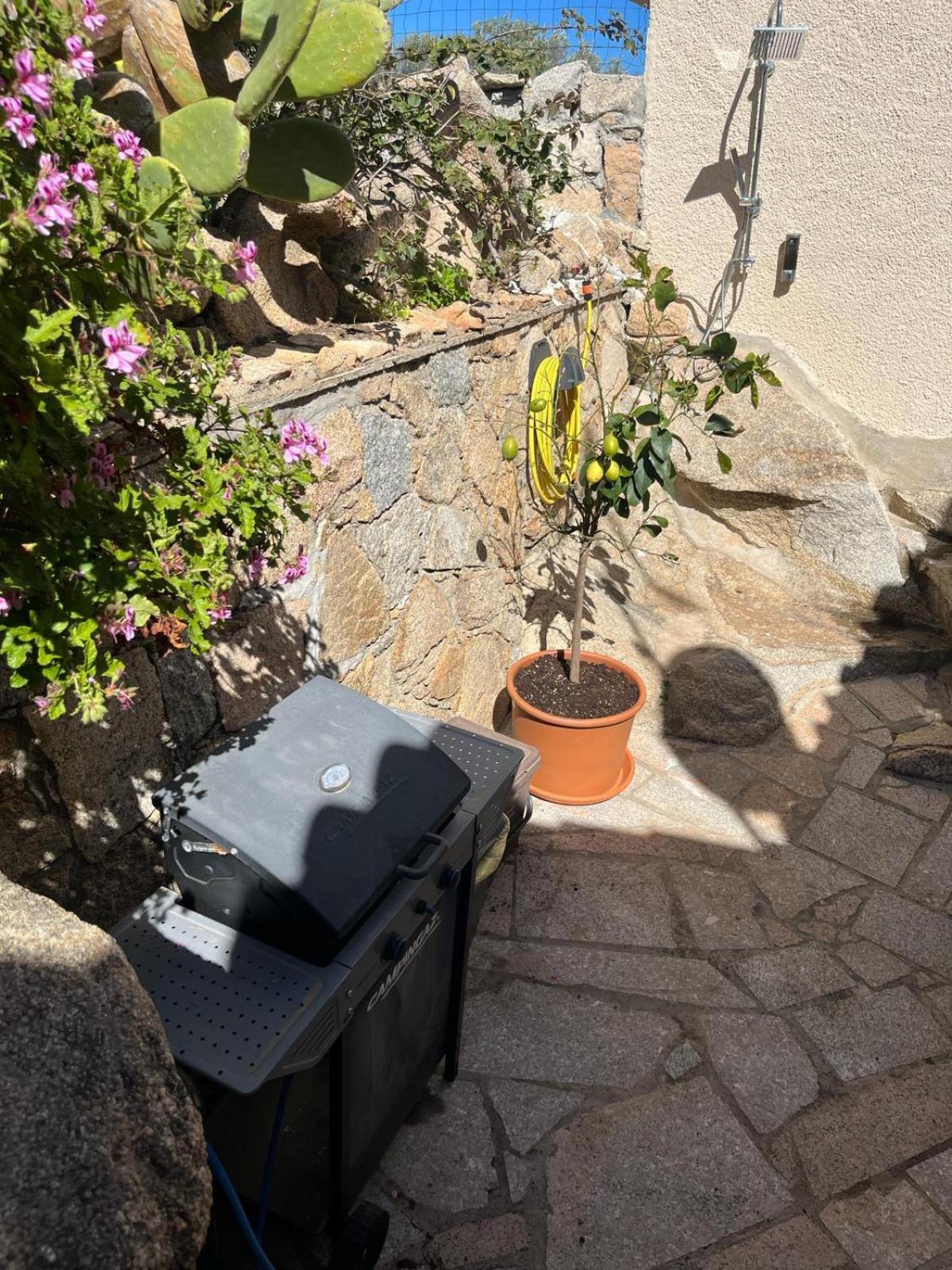 Villa Carlotta La Maddalena ลามัดดาเลนา ภายนอก รูปภาพ